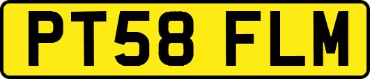 PT58FLM