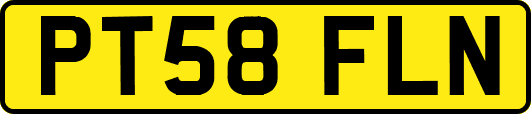 PT58FLN