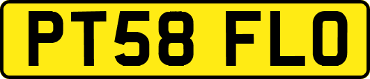 PT58FLO