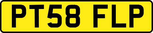 PT58FLP