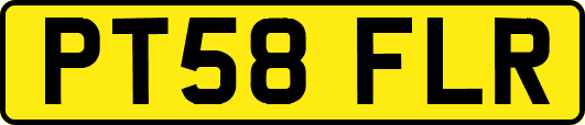 PT58FLR