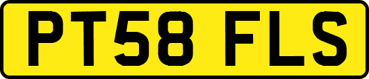 PT58FLS