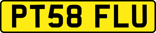 PT58FLU