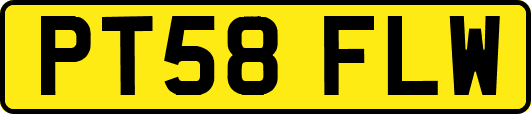 PT58FLW