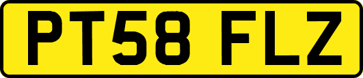 PT58FLZ