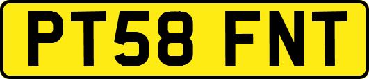 PT58FNT