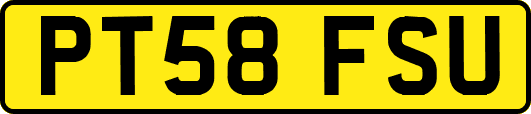 PT58FSU