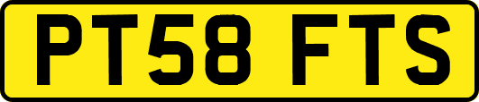 PT58FTS