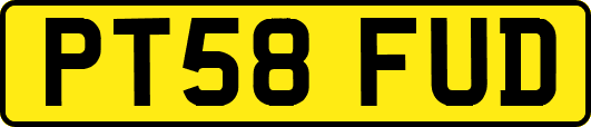 PT58FUD
