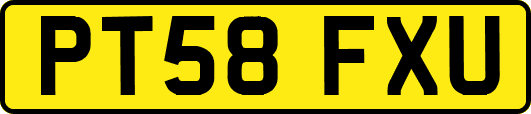 PT58FXU