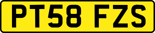 PT58FZS