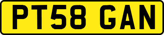 PT58GAN