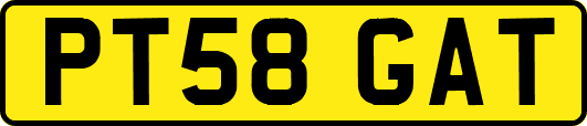 PT58GAT