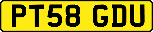PT58GDU