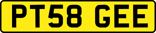 PT58GEE