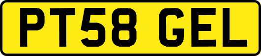 PT58GEL