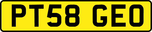 PT58GEO