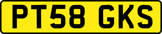 PT58GKS