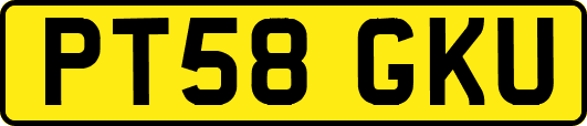PT58GKU