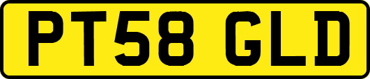 PT58GLD