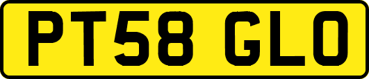 PT58GLO
