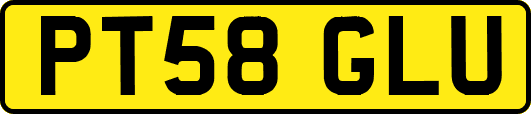 PT58GLU