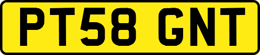 PT58GNT