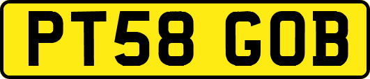 PT58GOB