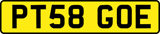 PT58GOE