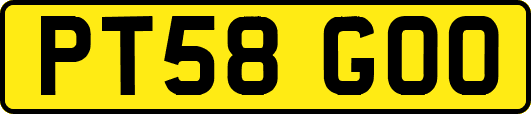 PT58GOO