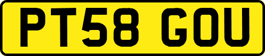 PT58GOU