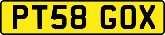 PT58GOX