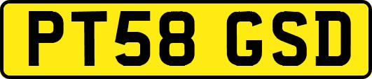 PT58GSD