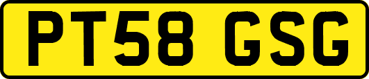 PT58GSG