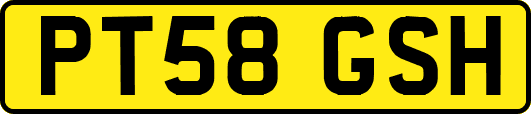 PT58GSH