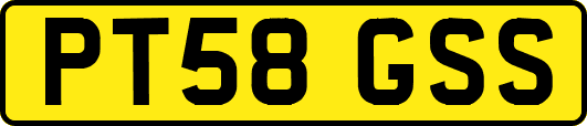 PT58GSS