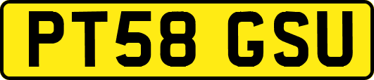 PT58GSU