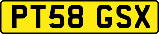PT58GSX