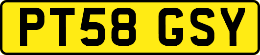 PT58GSY
