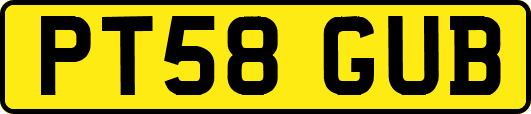 PT58GUB