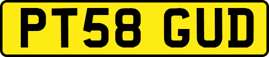 PT58GUD