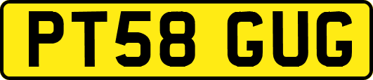 PT58GUG