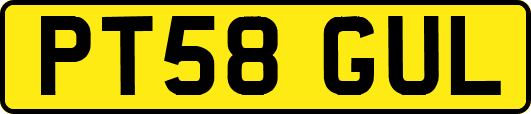 PT58GUL