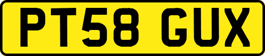 PT58GUX