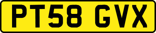 PT58GVX