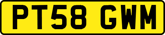 PT58GWM
