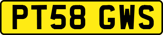 PT58GWS