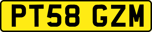 PT58GZM
