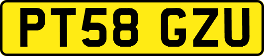 PT58GZU