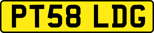 PT58LDG